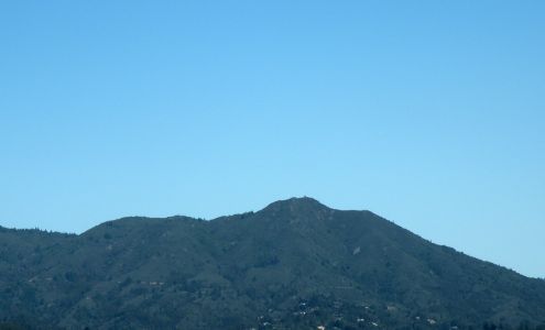 Studio Joi -HAIR THERAPY