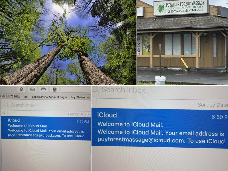 Puyallup Forest Massage