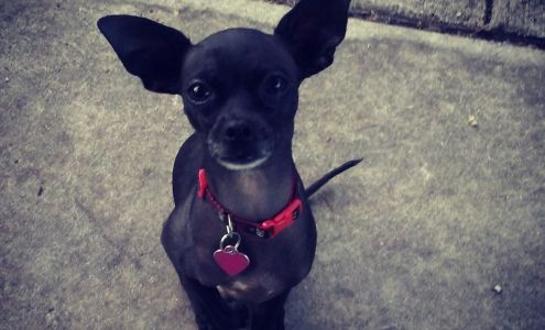 American Made Barbershop 1206 NE 4th Ave, Fort Lauderdale Florida 33304