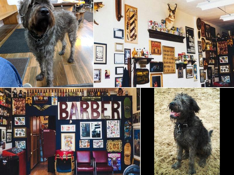 Irving Park Barbershop