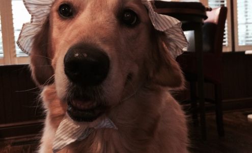 Pilgrim Square Barber Shop