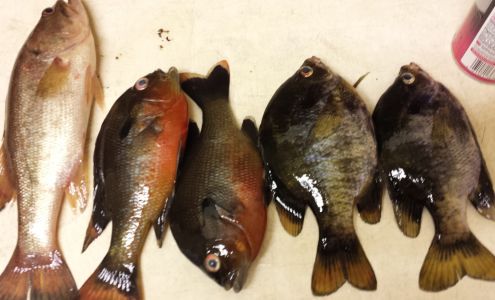 Willie's Ebony & Ivory Home Barber