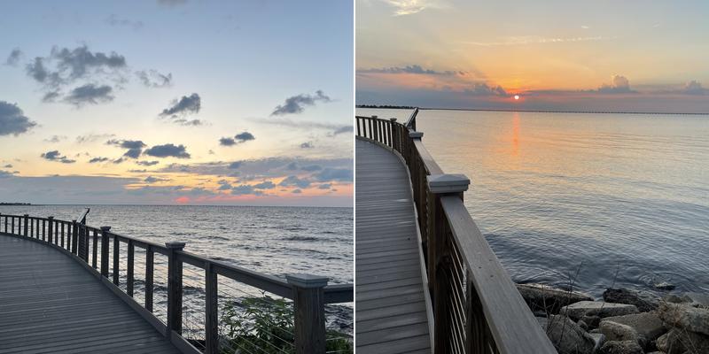 Rae Ben International