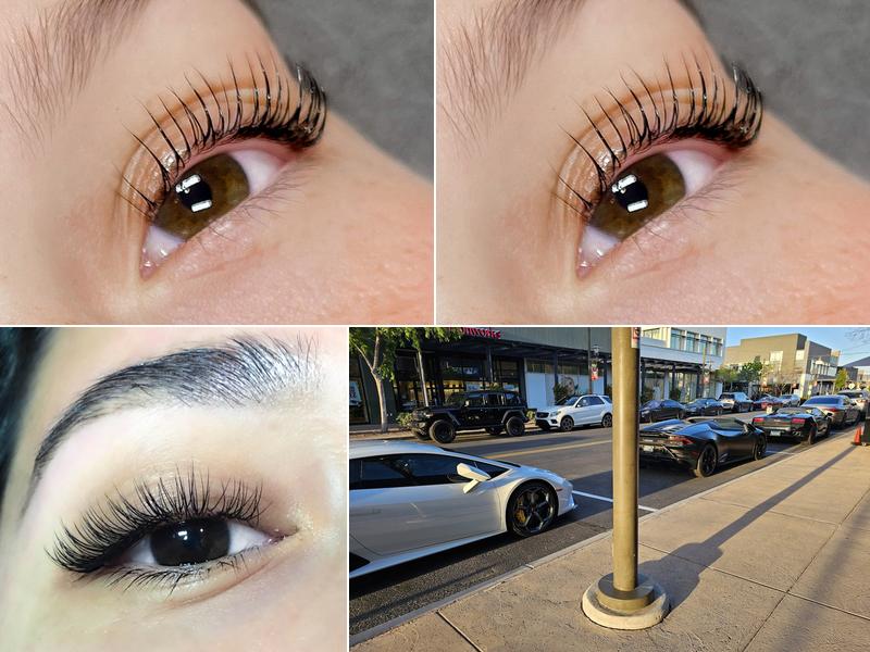 The Lash and Sugar Company