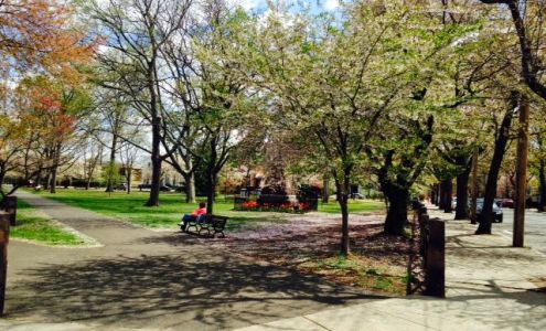 Sansone Catherine, CT Electrologist