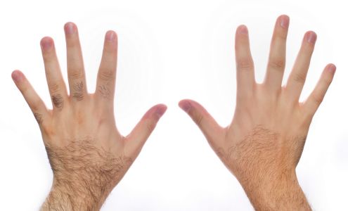 Nolan's Electrolysis LLC 63 Troy Rd, East Greenbush New York 12061