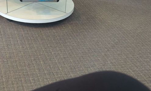 Michael Anzalone Salon