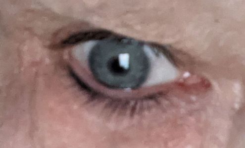 Classic Beauty Concepts