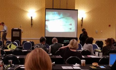 Ocean State Electrology and Laser