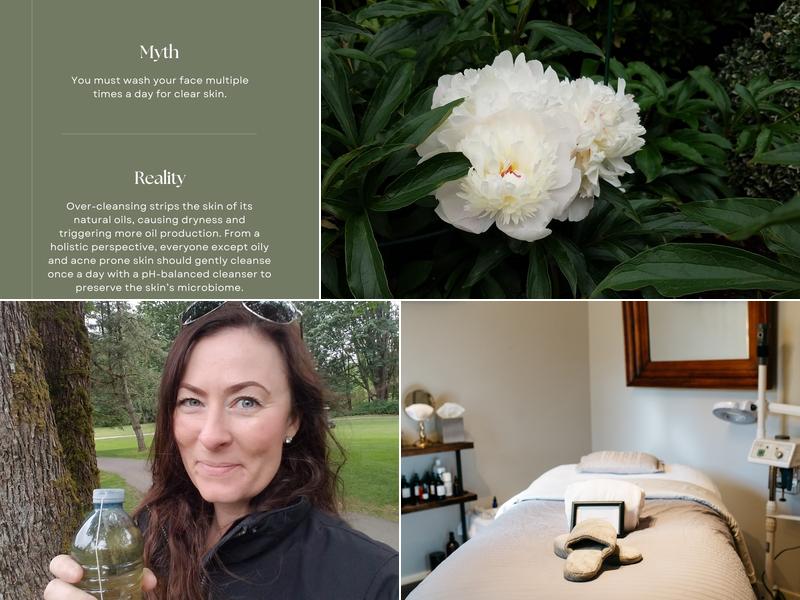 Shanti's Studio Of Esthetics