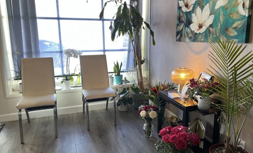 Electrolysis By Janice