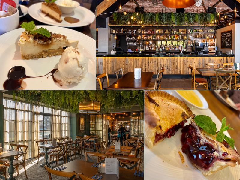 Warbler on the Wharf