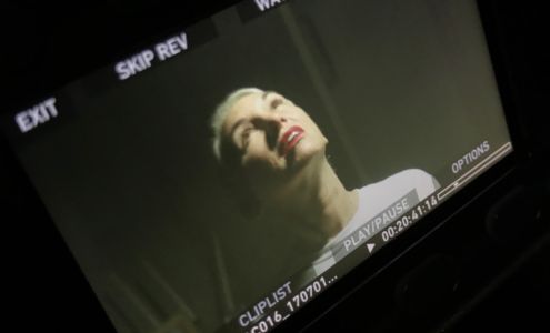 Luxe Lashes by Leanne