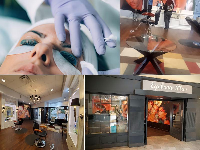 Eyebrow Plus