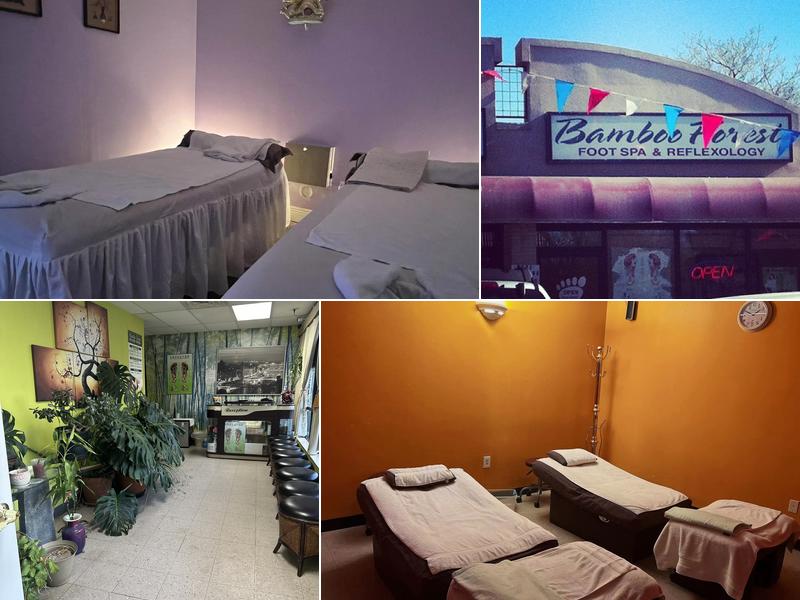 Bamboo Forest Denver