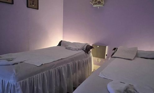 Bamboo Forest Denver