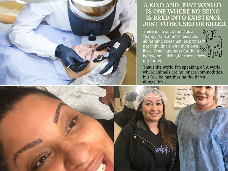 The Stroke of Beauty Training Academy