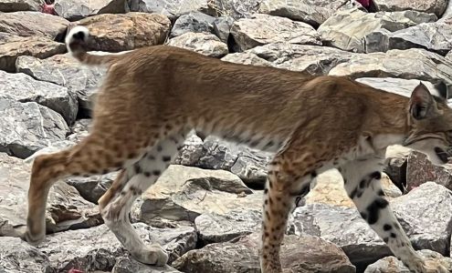 The Brannon Group at Nova Home Loans NMLS 205989 / 3087