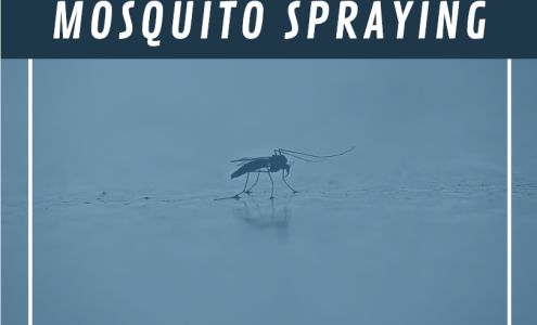 Horry County Treasurer