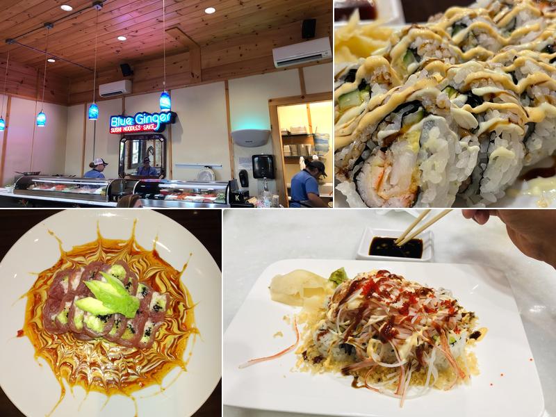 Blue Ginger by Project Jizo