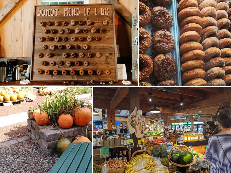 Cider Bellies Doughnuts
