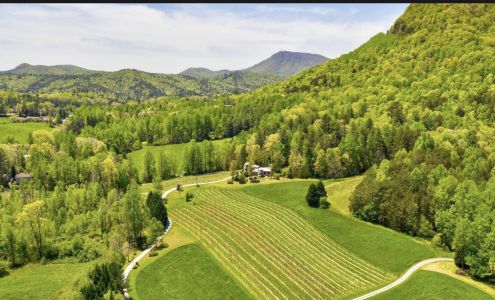 Tiger Mountain Vineyards Tiger