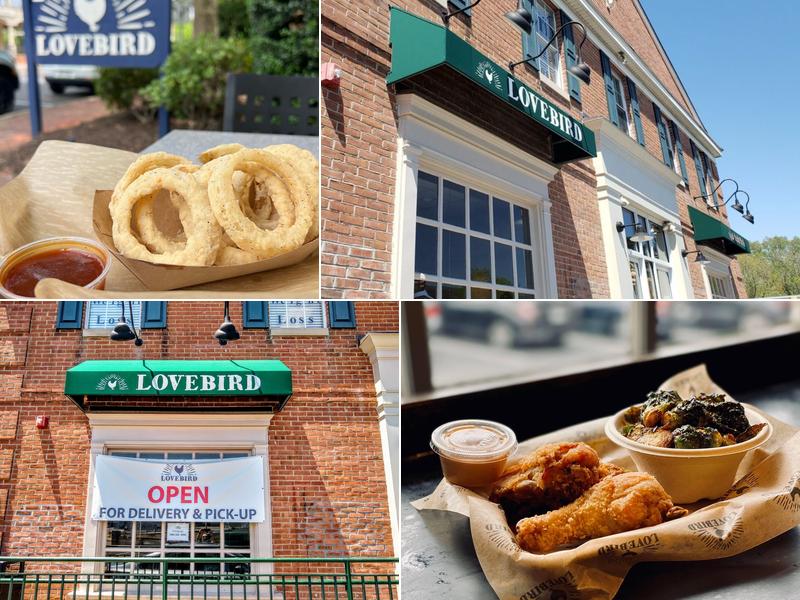 Lovebird 1084 E Lancaster Ave, Bryn Mawr