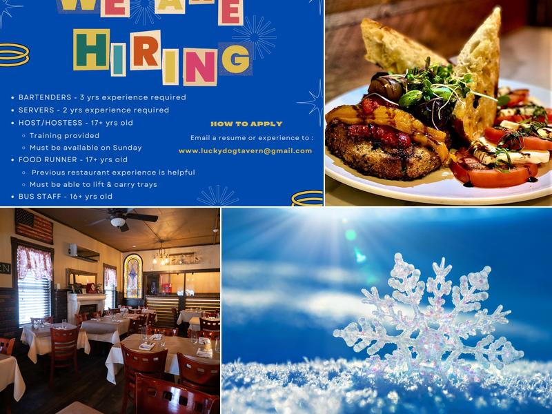 Lucky Dog Tavern - RI