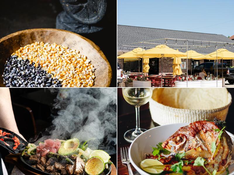 Pink Cactus Charleston