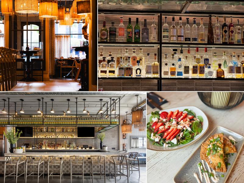 Elephant and The Dove