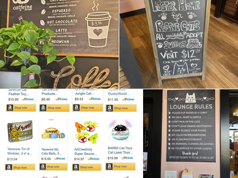 Catfeine Cat Cafe Menu