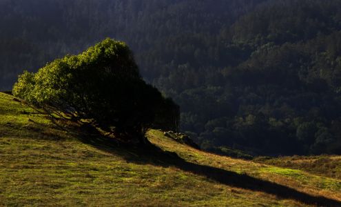 United States Postal Service
