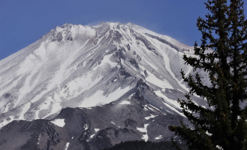 United States Postal Service