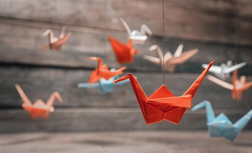 Paper Cranes Healthcare