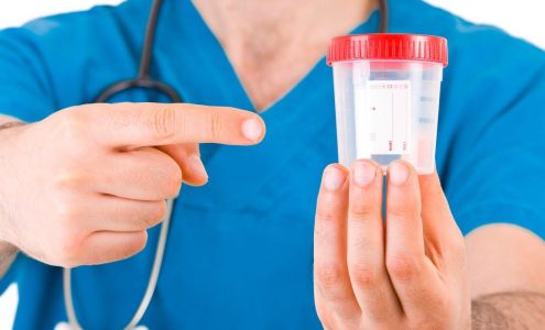 Konza Lab Incorporated Manhattan