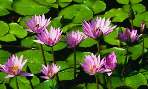 Los Alamitos Walk-In Medical Clinic