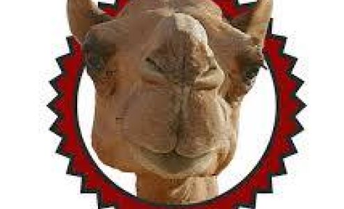 Dr Stephanie Gajus NMD Naturopathic Primary Care Paradise Valley