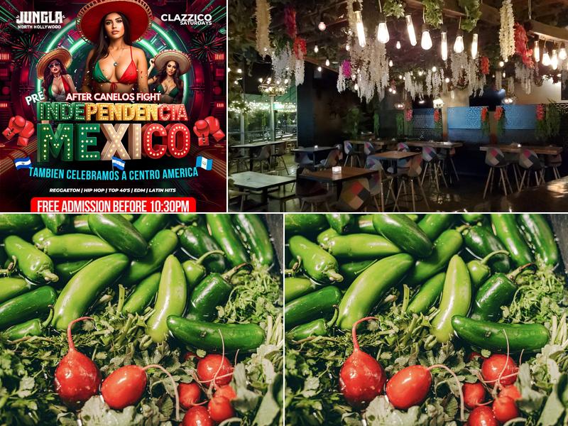 Jungla Noho 5156 Lankershim Blvd, North Hollywood