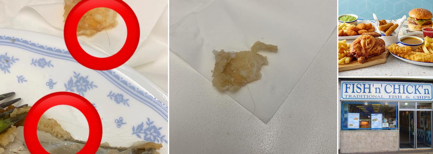 fishnchickn Harold Hill