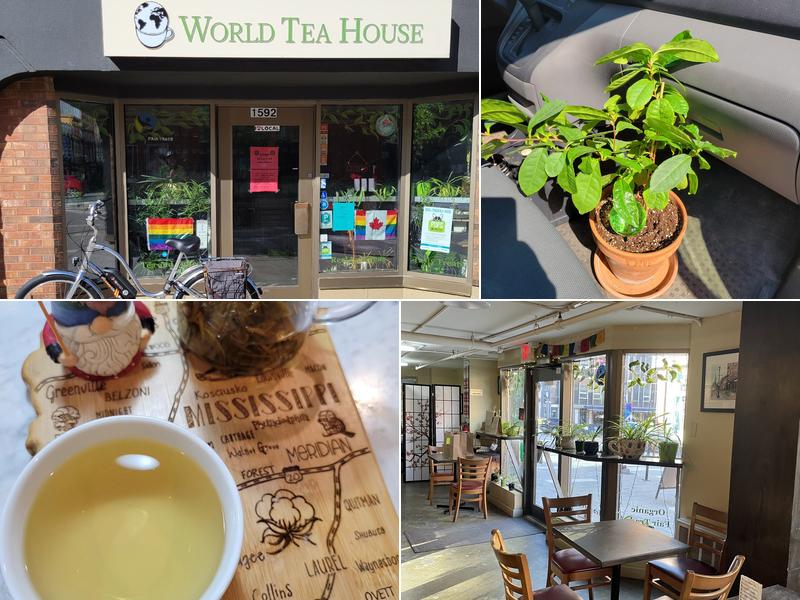 World Tea House