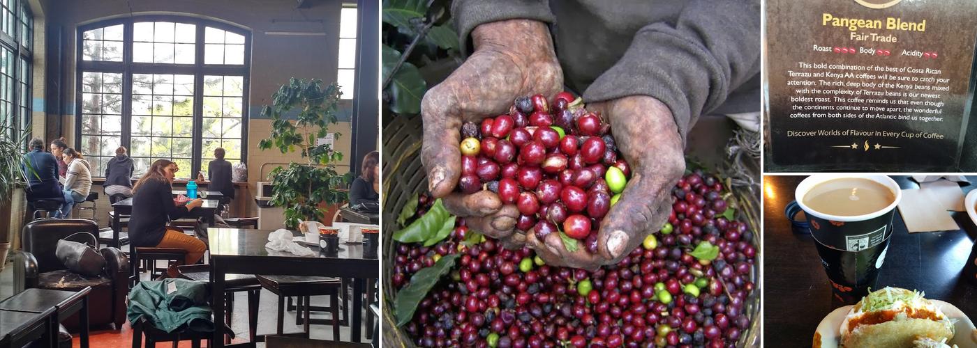 Fire Roasted Coffee Co. Menu