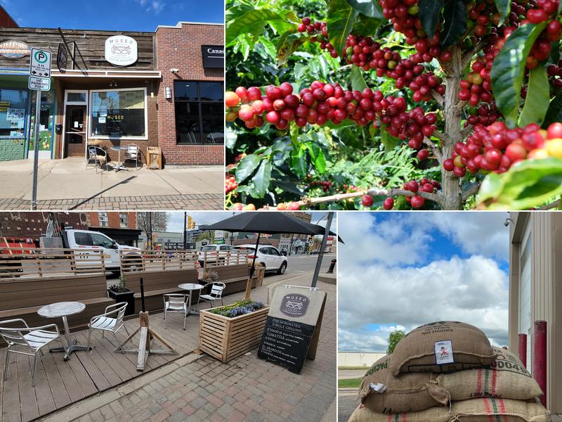 Museo Coffee Roasters