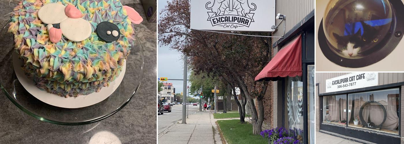 Excalipurr Cat Cafe