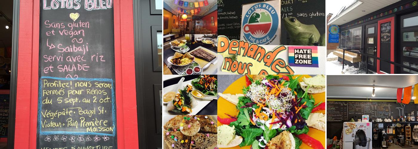 Cafe Lotus Bleu International Menu