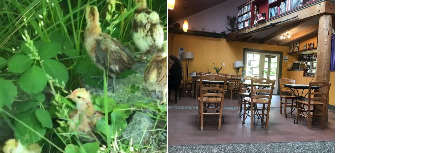 Clayoquot Campus Cafe Menu