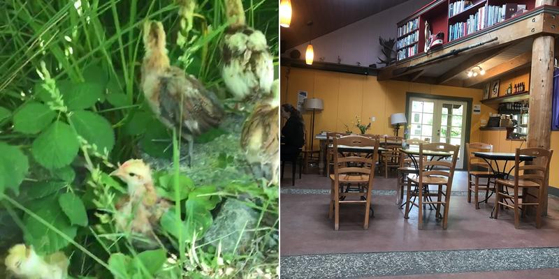 Clayoquot Campus Cafe Menu