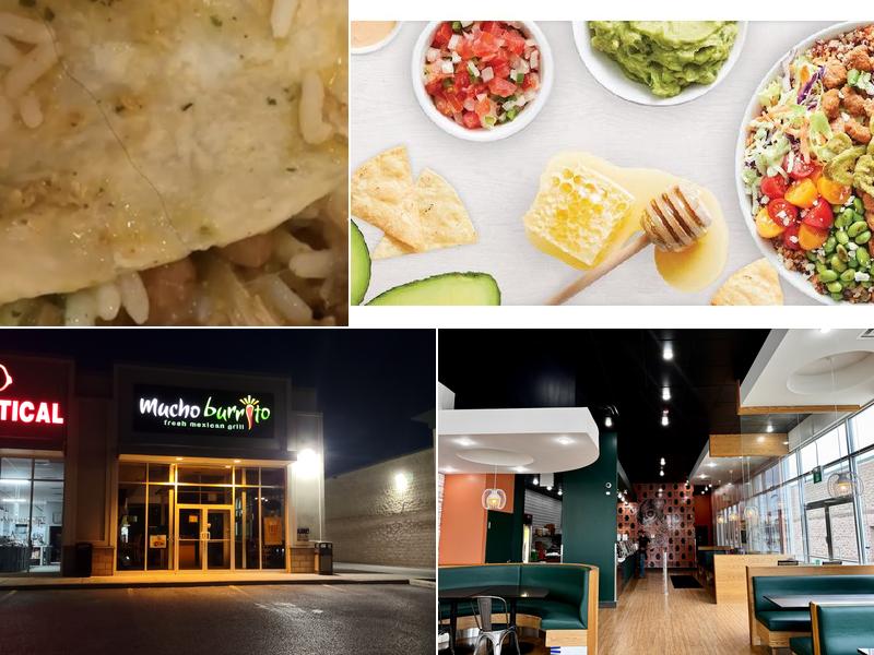 Mucho Burrito Fresh Mexican Grill Menu