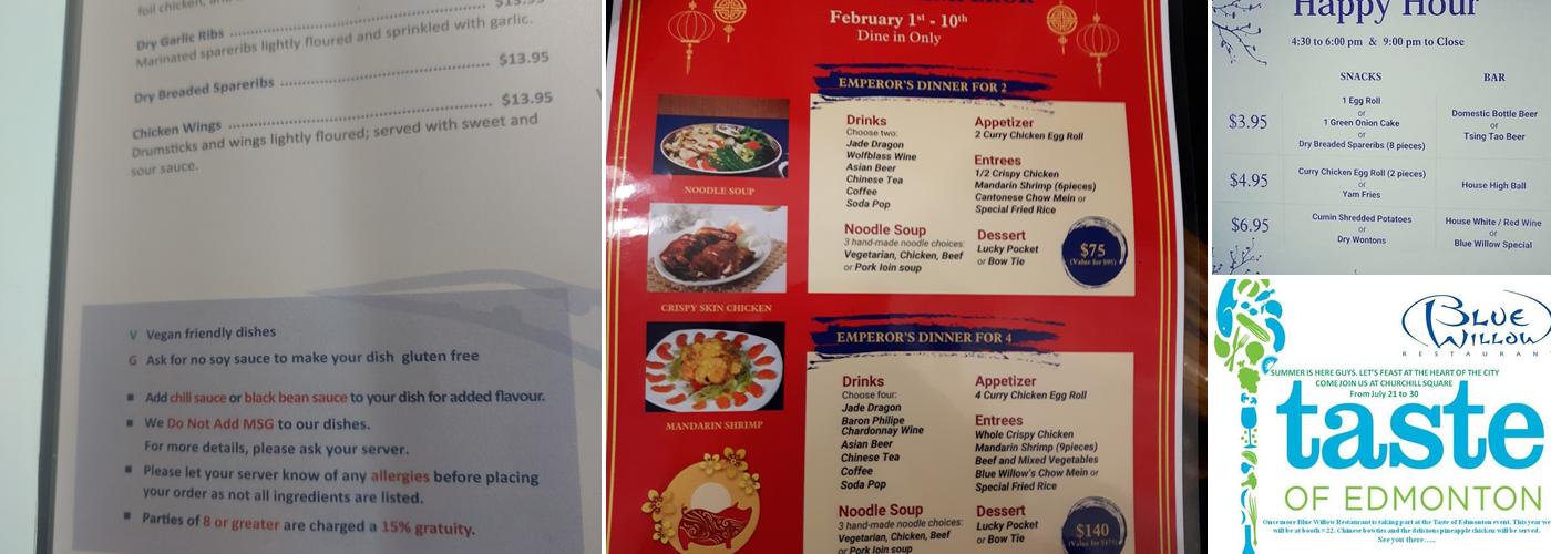 Blue Willow Restaurant Ltd Menu