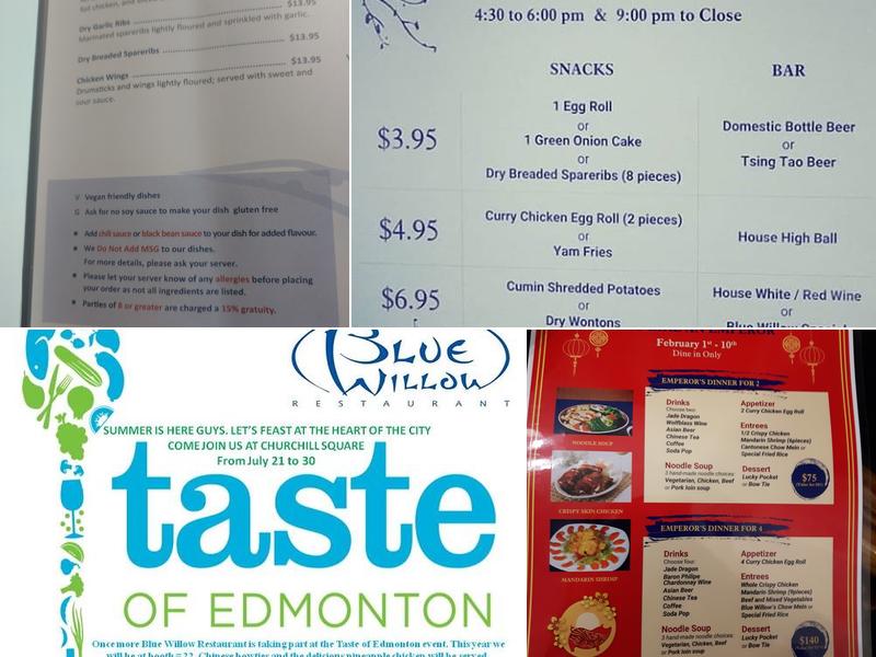 Blue Willow Restaurant Ltd Menu