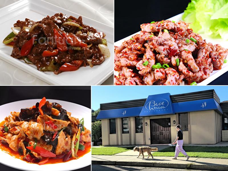 Blue Willow Restaurant Ltd